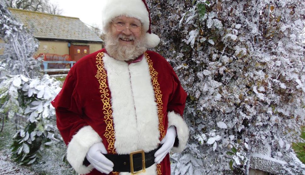 Santa at Finkley Down Farm